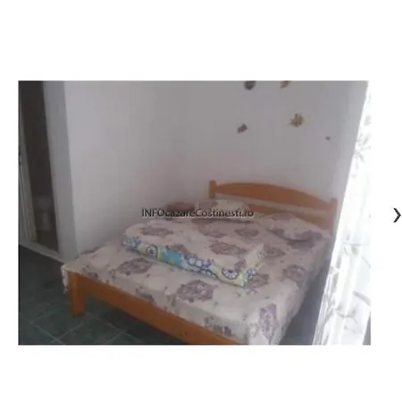 Gazde/Camere de închiriat Casa La Bunica *